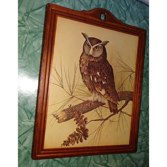 Vintage E Rambow Great Horned Owl Art on Wood Wall Hanging bird of prey plaque - Picture 7 of 10